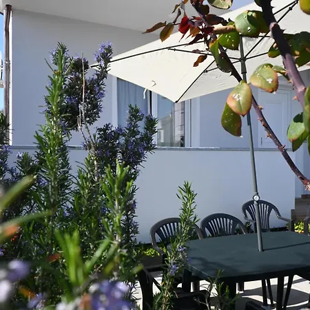 Se238 - Marotta, Quadrilocale Con Corte Privata * Marotta